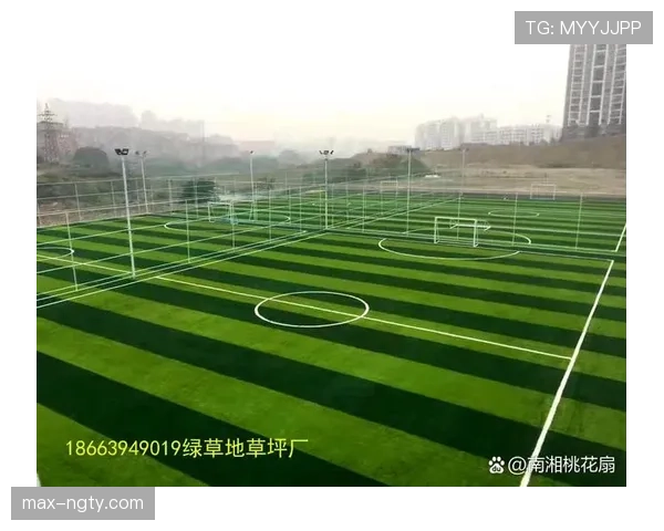 草坪场地规则拆解：标准尺寸与质量如何影响比赛判罚